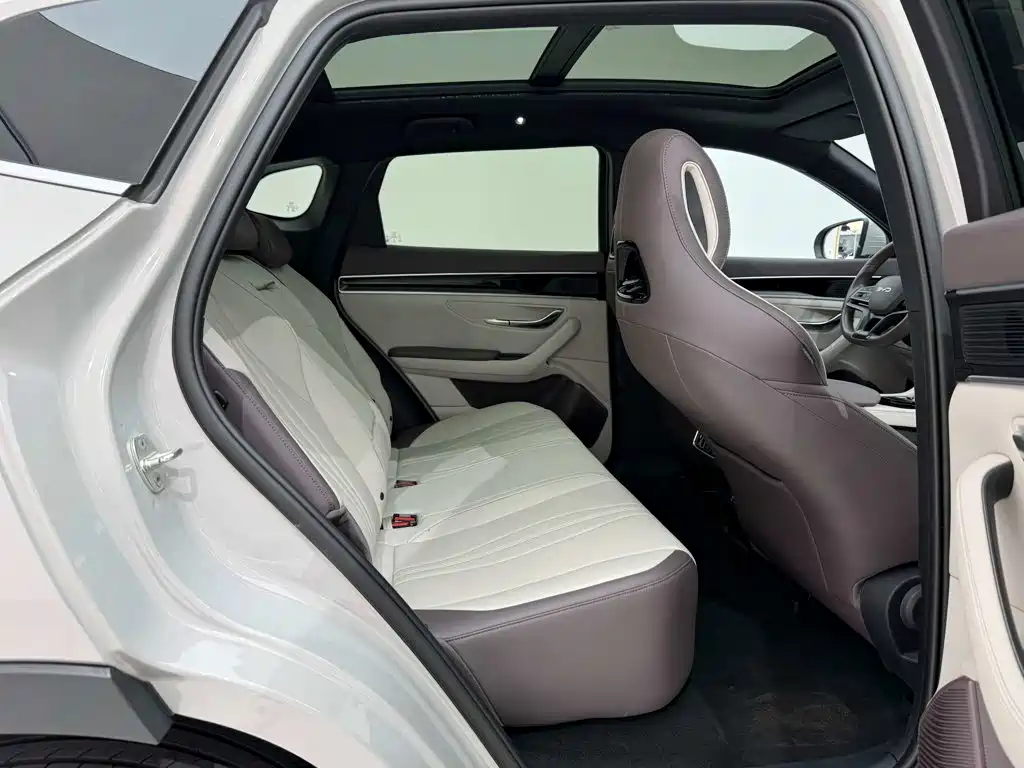 BYD PLUS New Energy — миниатюра 9