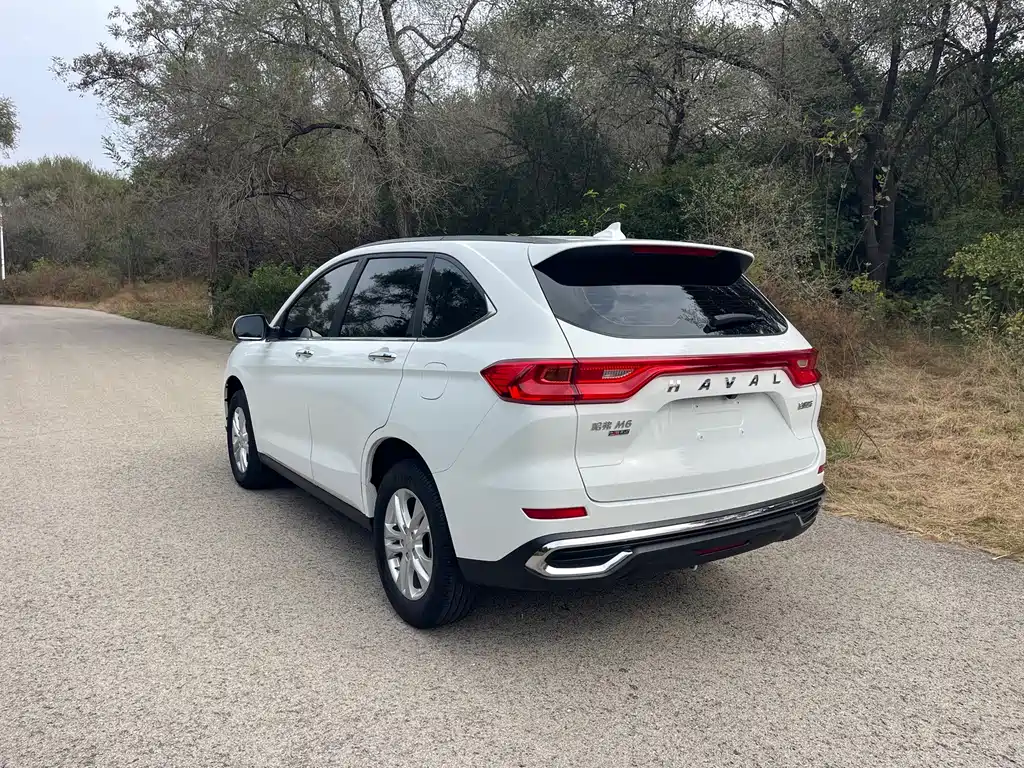 Haval M6 — миниатюра 12