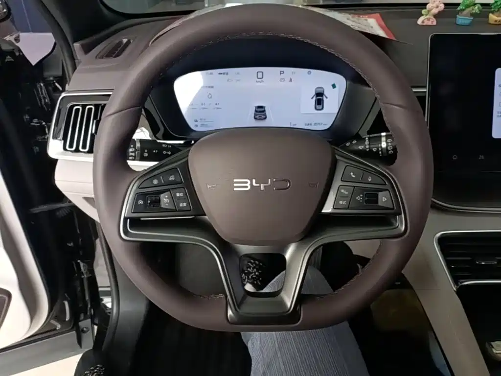BYD PLUS New Energy — миниатюра 11