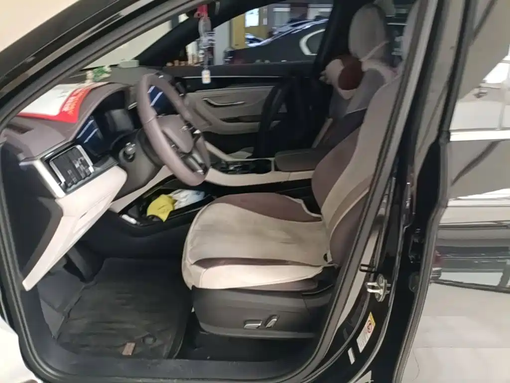 BYD PLUS New Energy — миниатюра 15