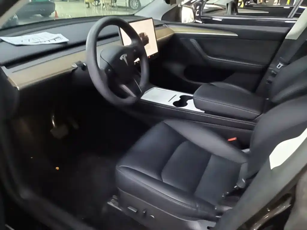 Tesla Model Y — миниатюра 16