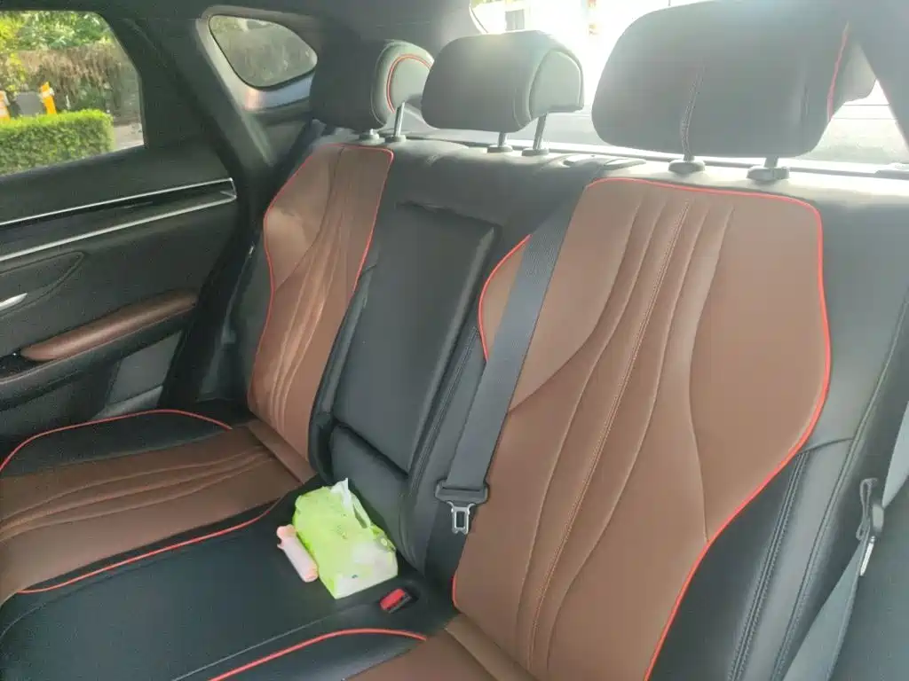 BYD PLUS — миниатюра 13