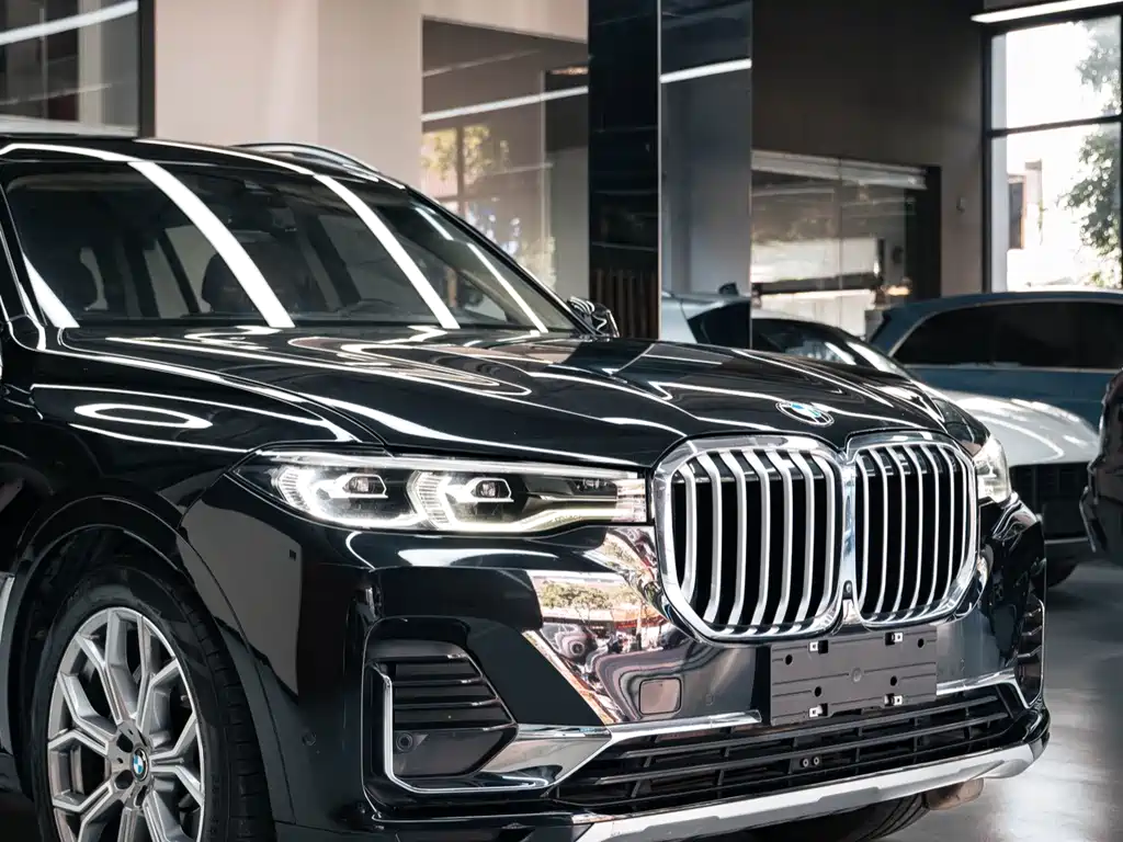 BMW X7 — миниатюра 7