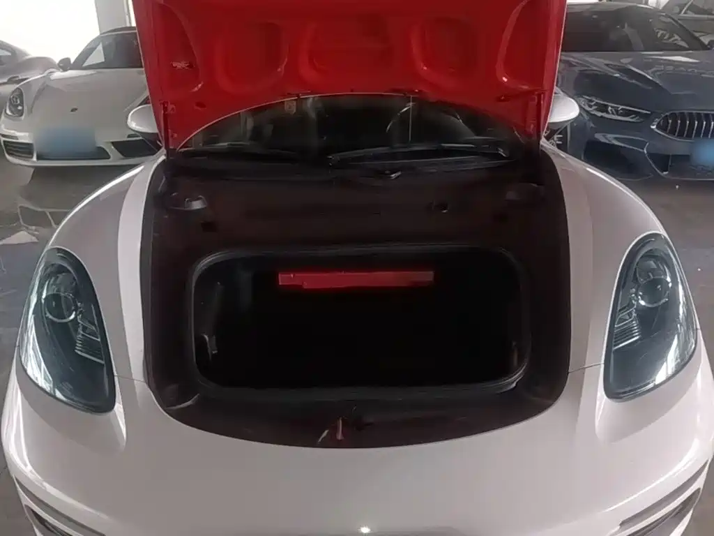 Porsche 718 — миниатюра 20