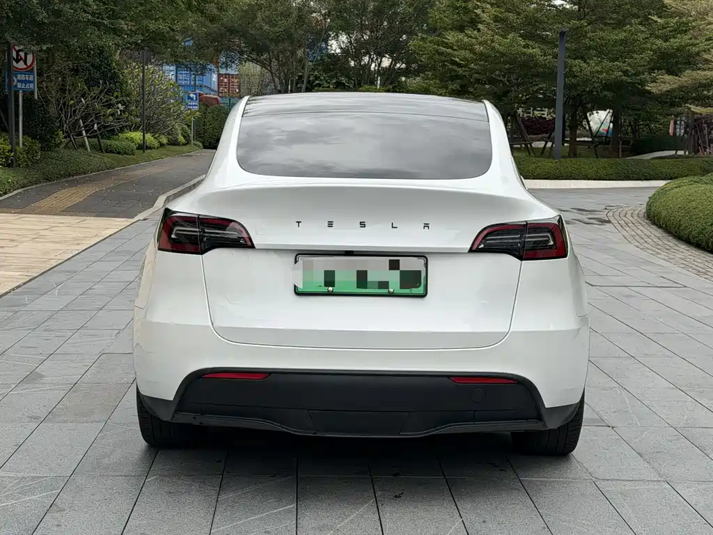 Tesla Model Y — миниатюра 4