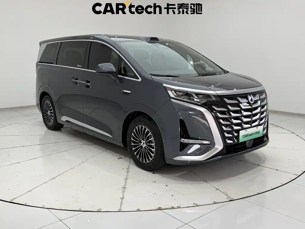 Denza Denza D9 — миниатюра 2