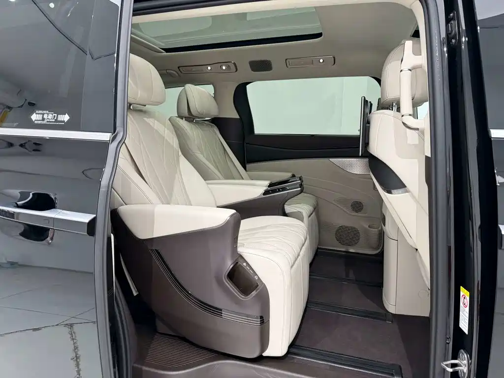 Denza Denza D9 — миниатюра 21