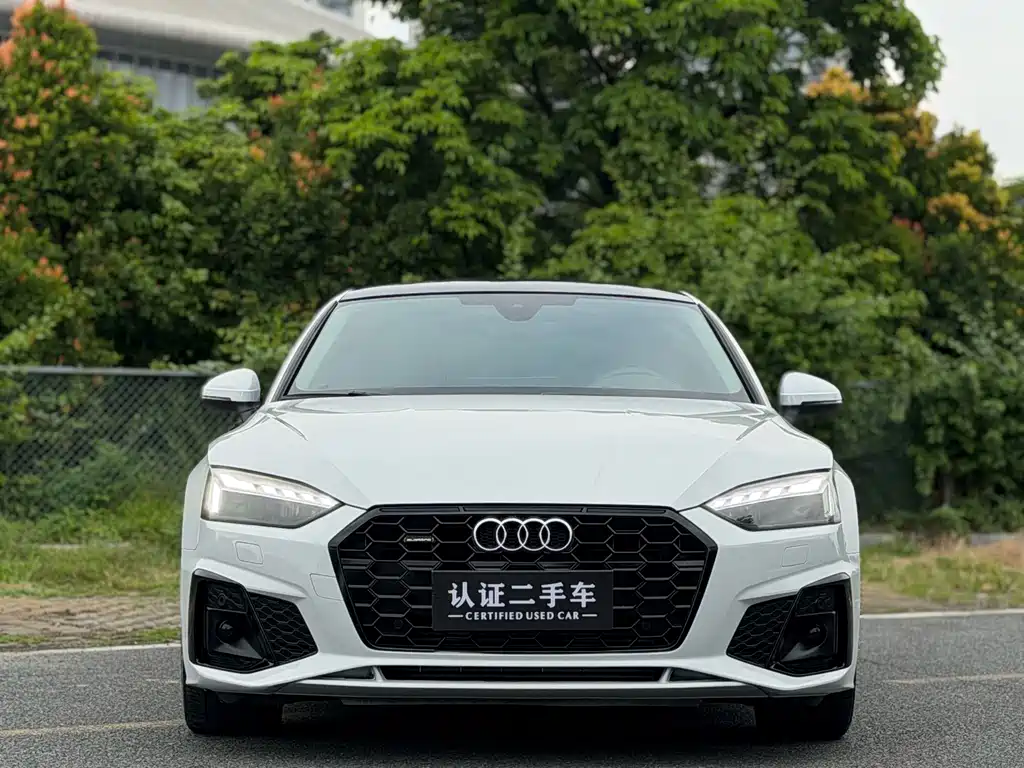 Audi A5 (Import) — миниатюра 2