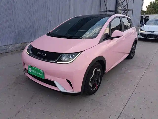 2022 BYD Dolphin