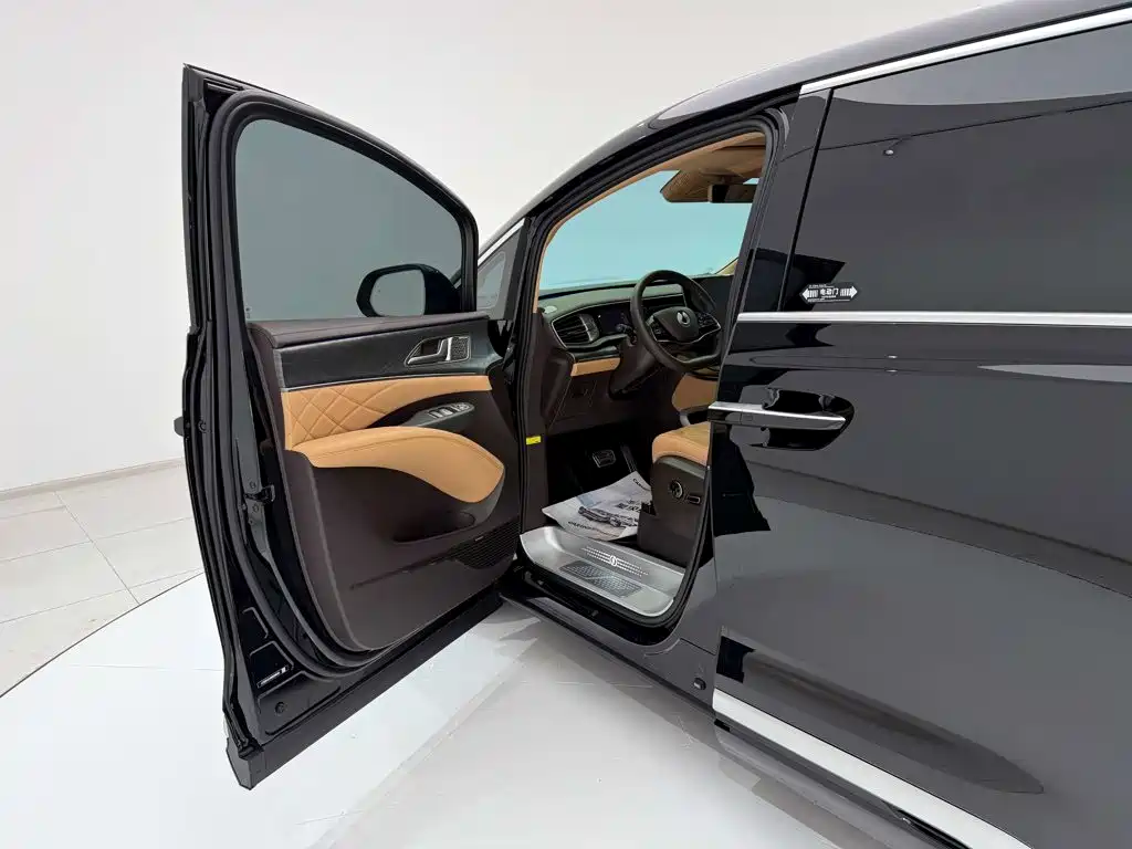 Denza Denza D9 — миниатюра 23