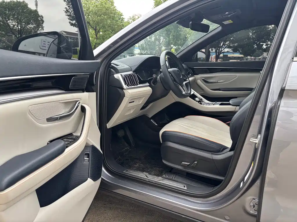 BYD PLUS New Energy — миниатюра 7