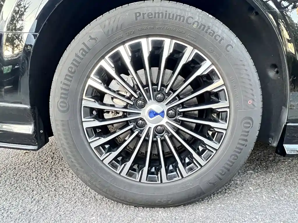 Denza Denza D9 — миниатюра 23