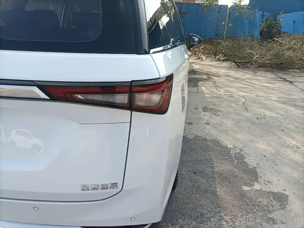 Wuling Jiachen — миниатюра 8