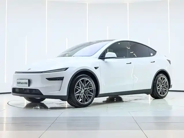 TESLA MODEL Y 2025