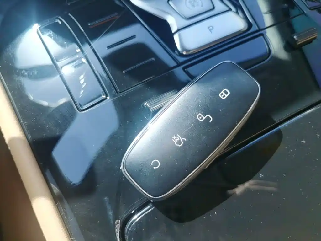 Denza Denza D9 — миниатюра 9