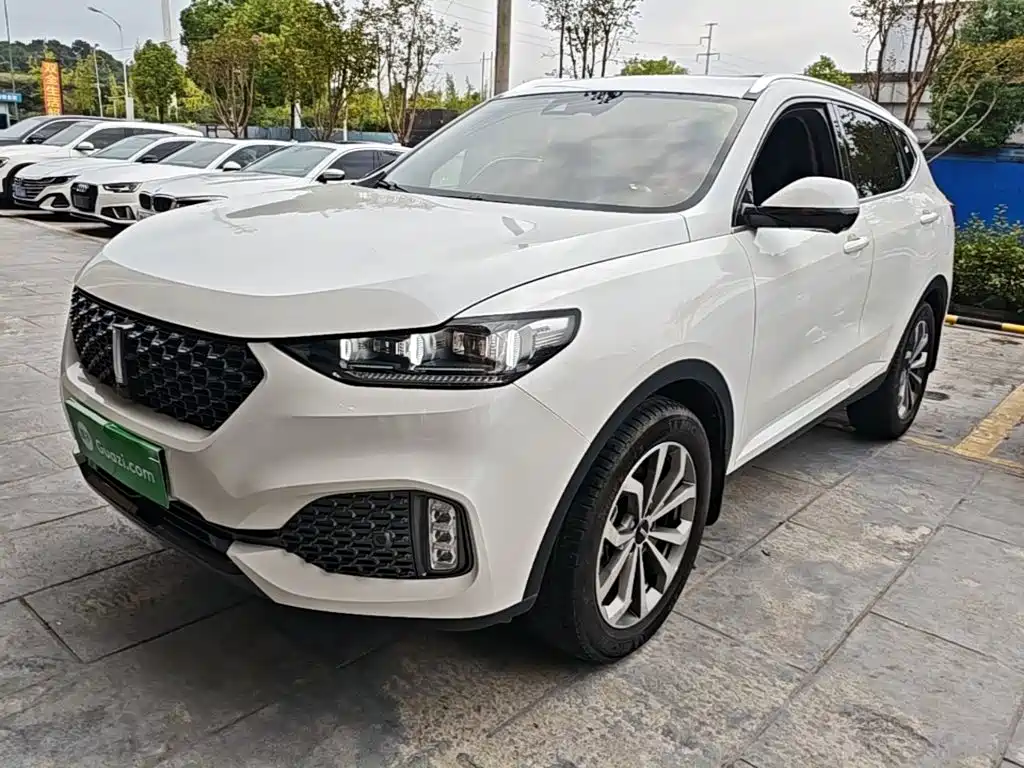 Wey Wey VV6 — миниатюра 2