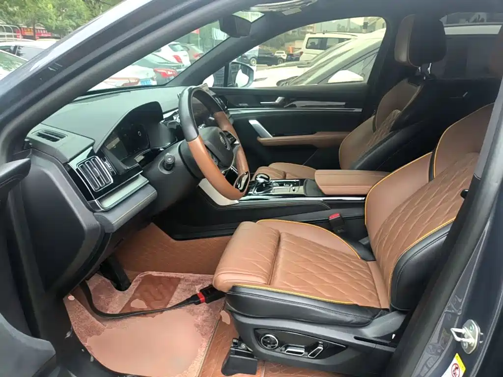 BYD Tang New Energy — миниатюра 15