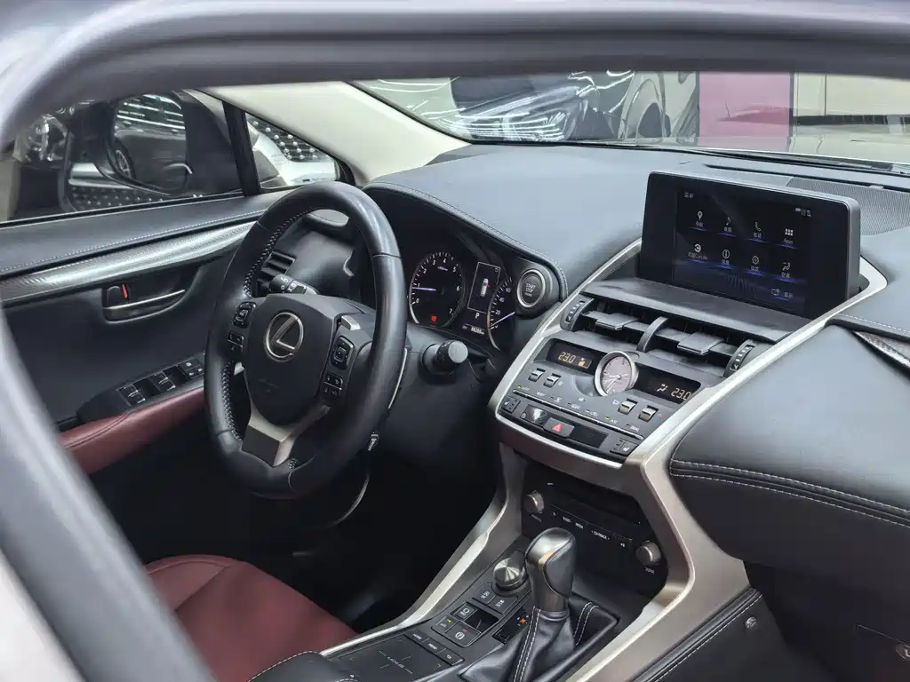 Lexus NX — миниатюра 23