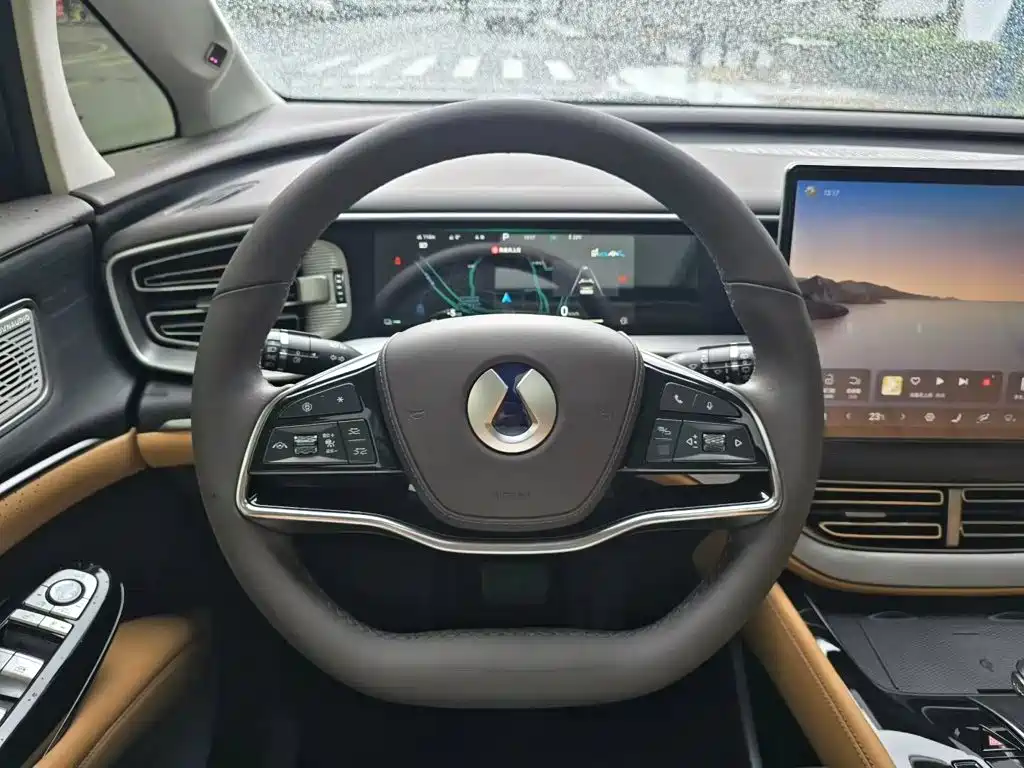 Denza Denza D9 — миниатюра 8
