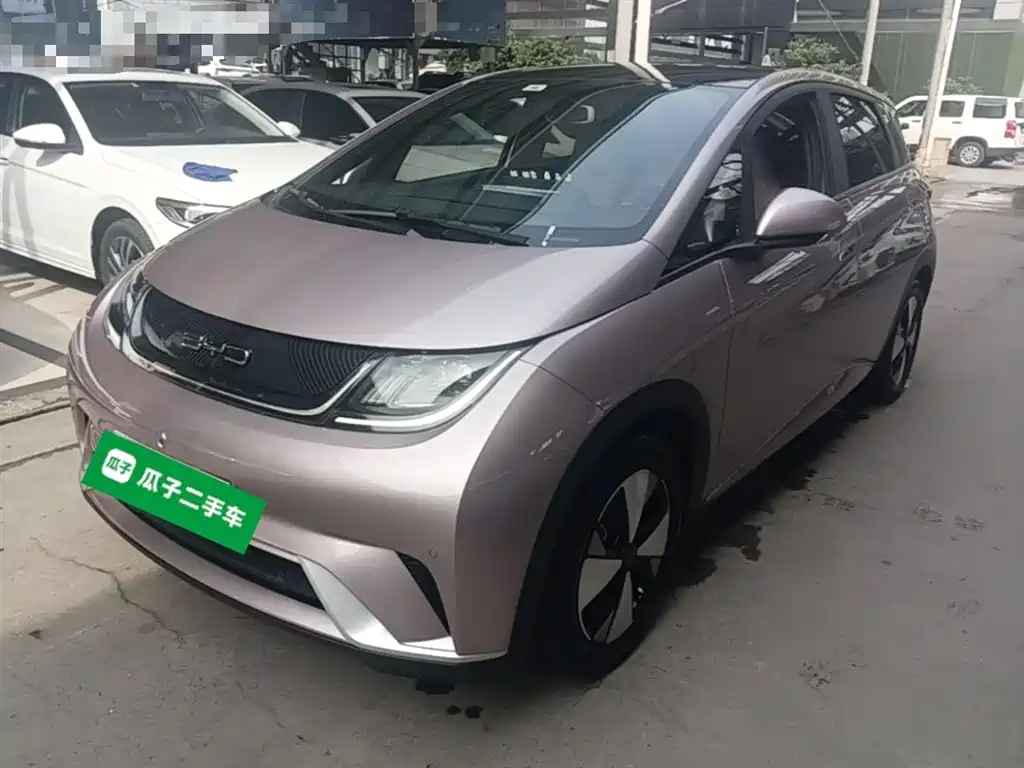 Byd Dolphin 2023