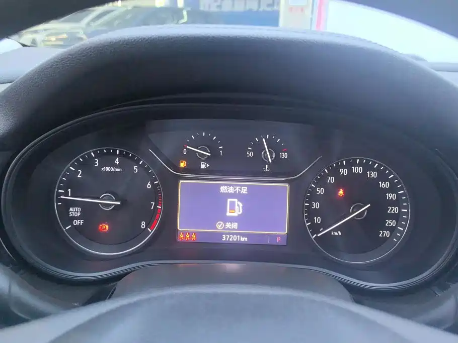 Buick Regal — миниатюра 14