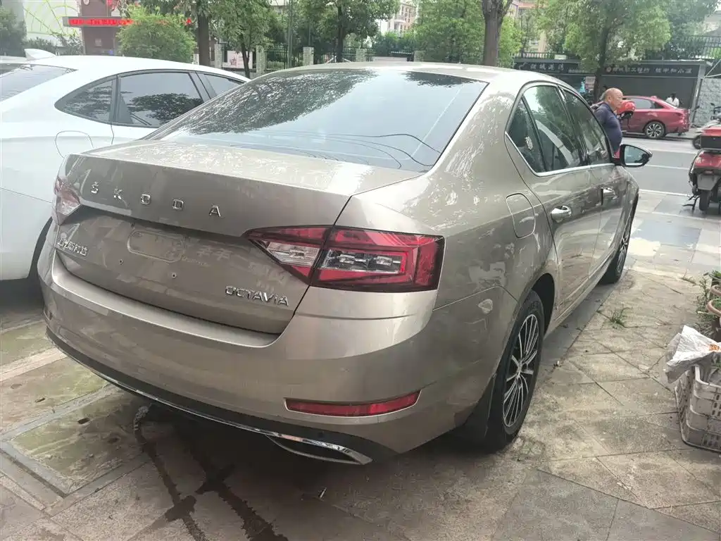 Skoda Octavia 2019 1.5L AT Luxury V