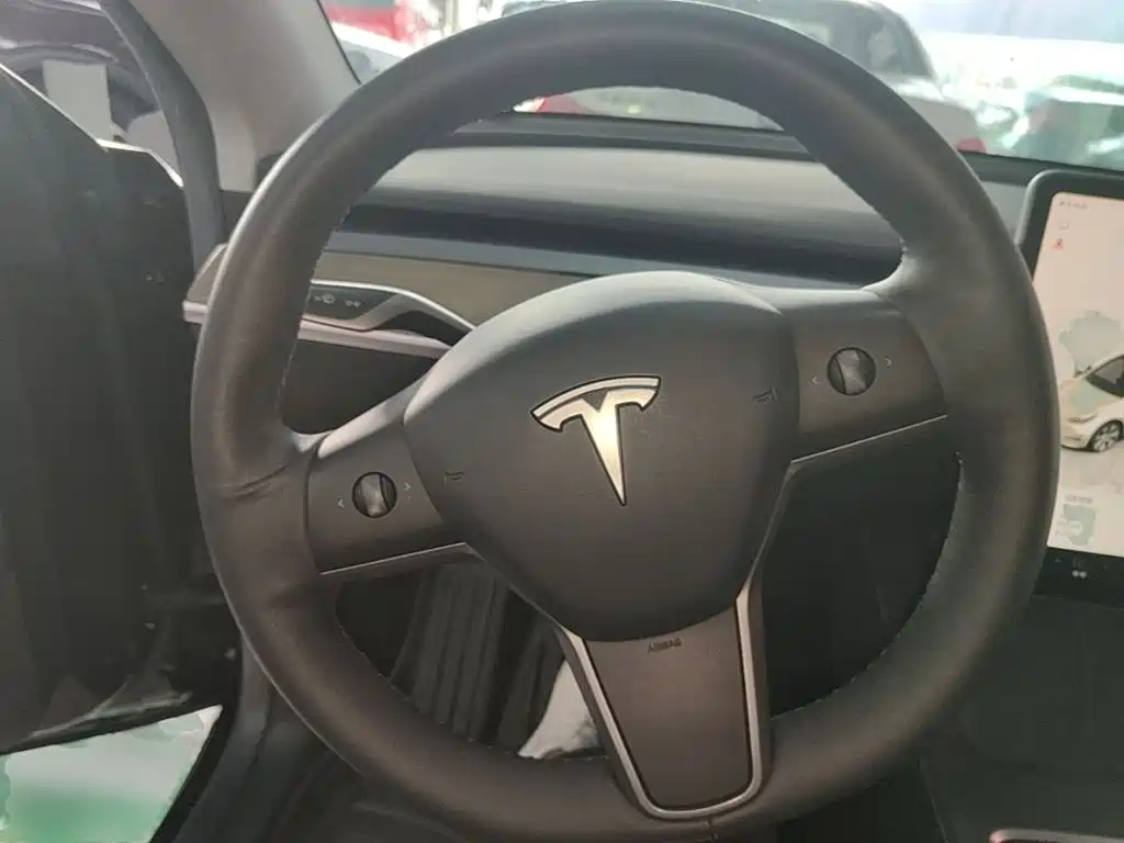 Tesla Model Y — миниатюра 11