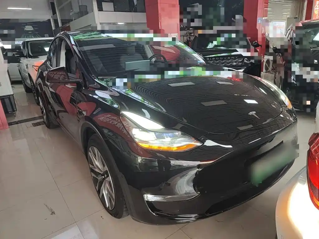 Tesla Model Y — миниатюра 4