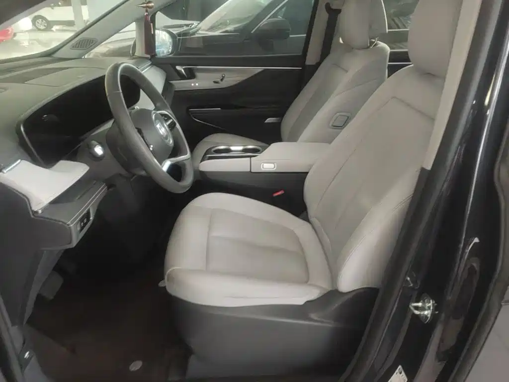 Buick GL8 — миниатюра 15