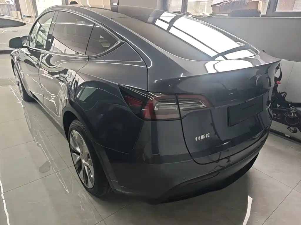 Tesla Model Y — миниатюра 5