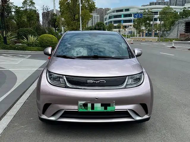 2022 BYD Dolphin