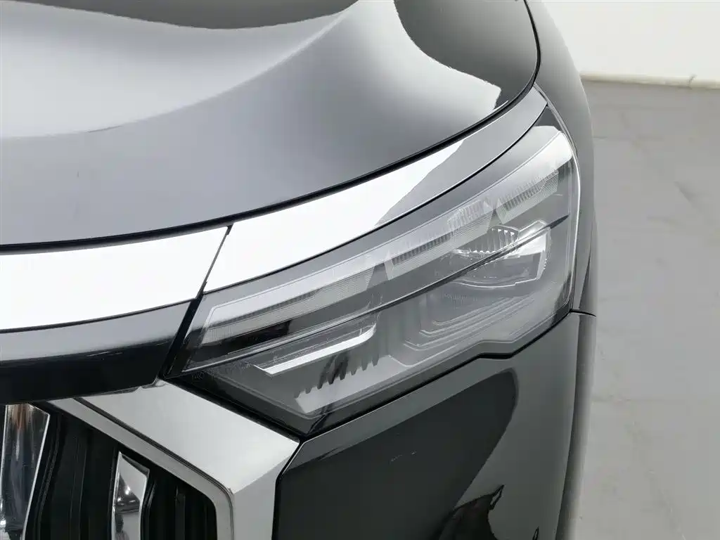 GEELY AUTOMOBILE HAOYUE L