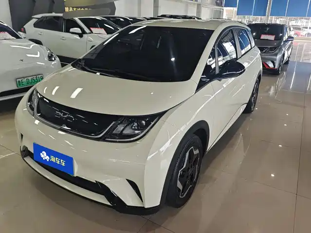 2024 BYD Dolphin