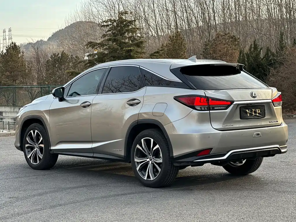 LEXUS RX