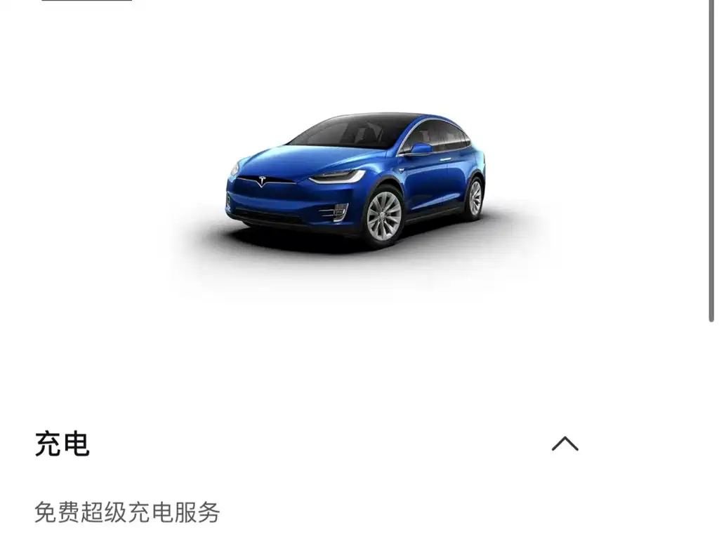 Tesla Model X — миниатюра 21