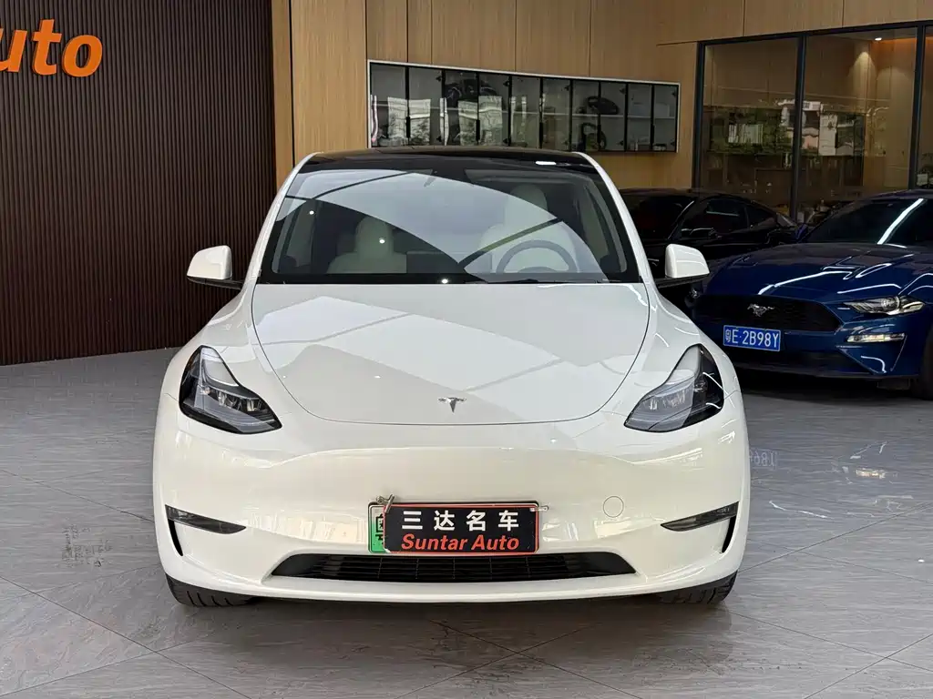 Tesla Model Y — миниатюра 2