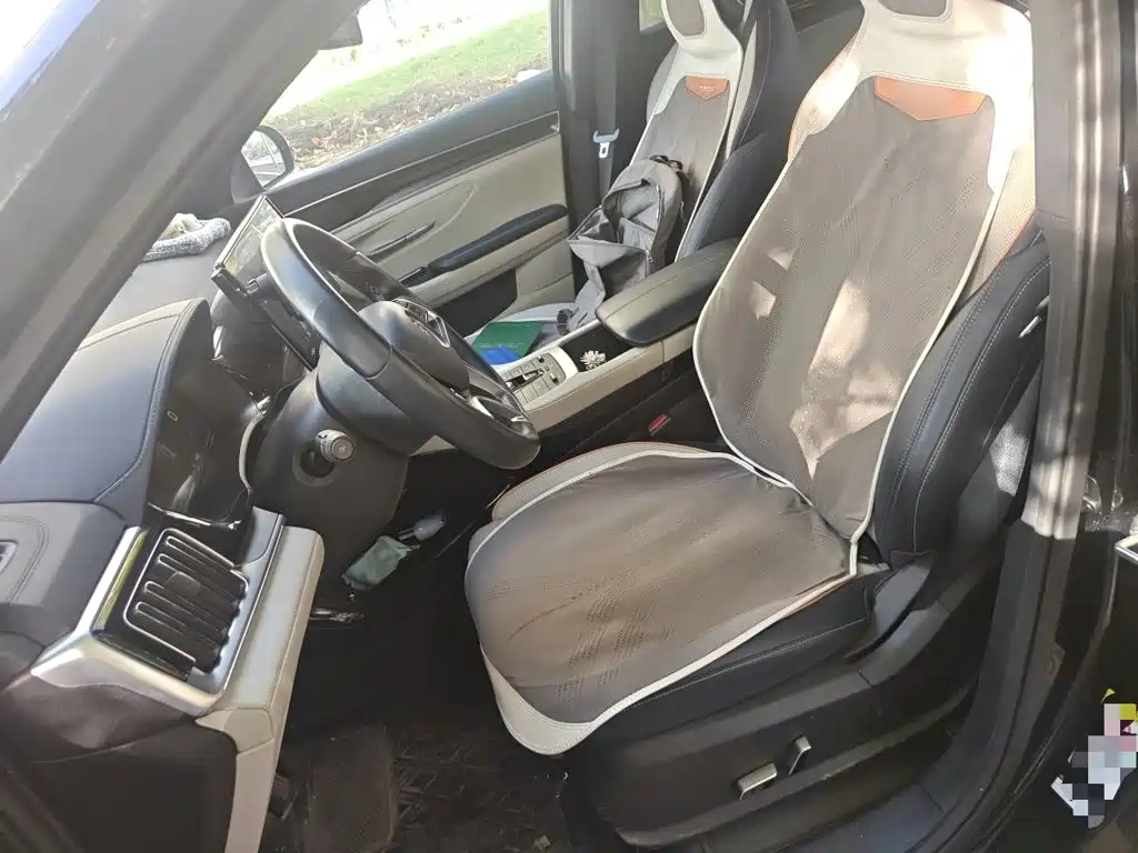 BYD PLUS New Energy — миниатюра 11