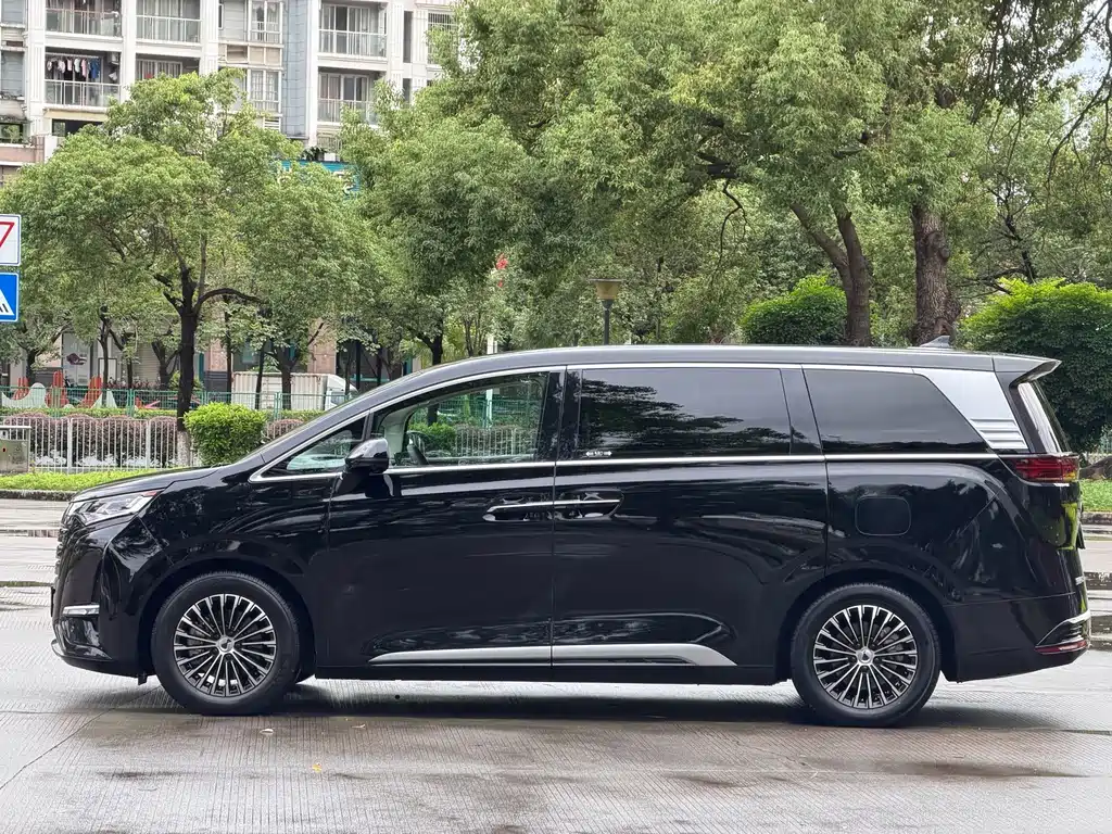 Denza Denza D9 — миниатюра 4
