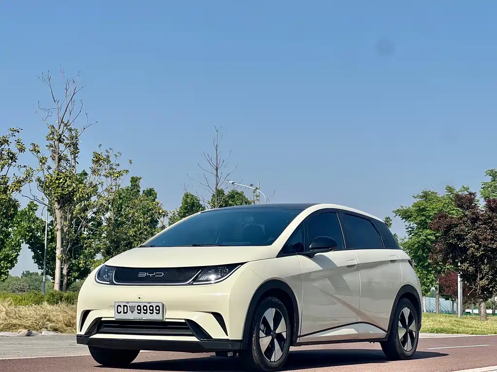Byd Dolphin 2024