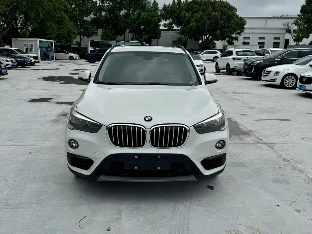 BMW X1 — миниатюра 2