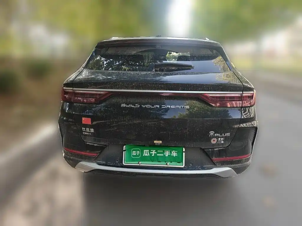 BYD PLUS New Energy — миниатюра 3