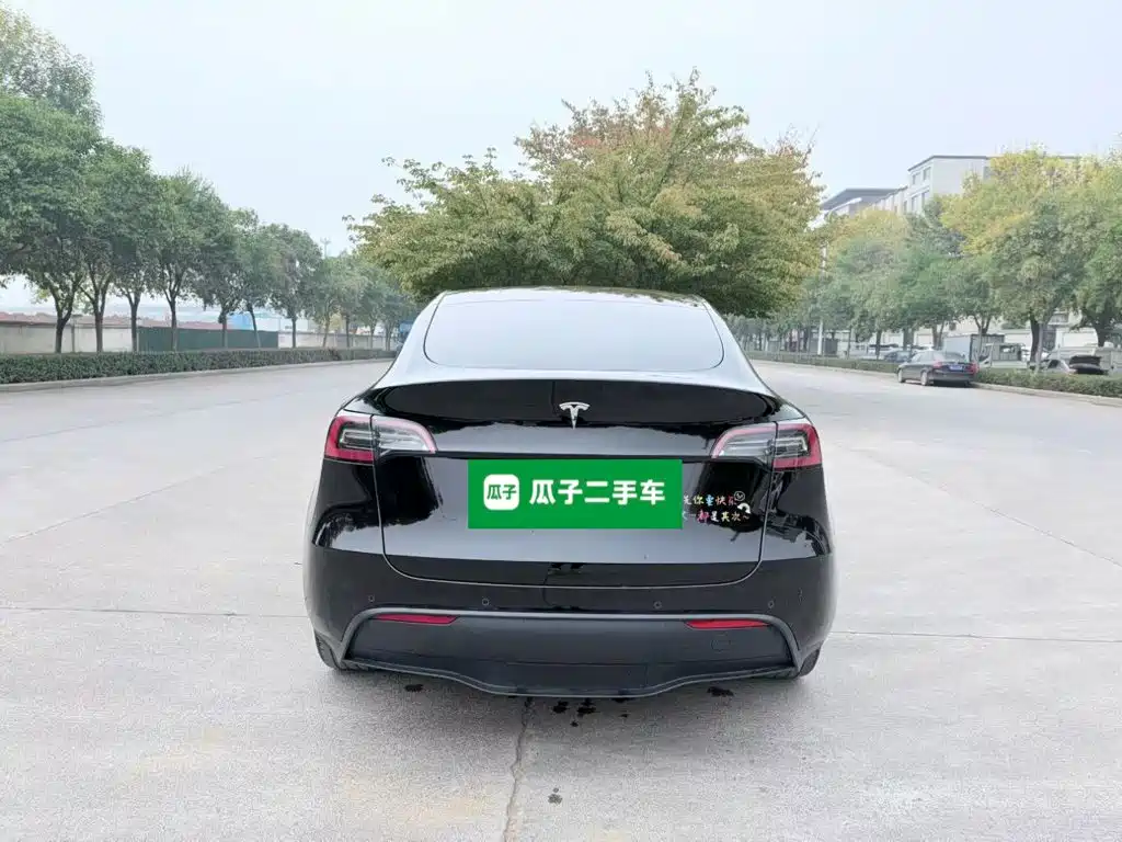 Tesla Model Y — миниатюра 6