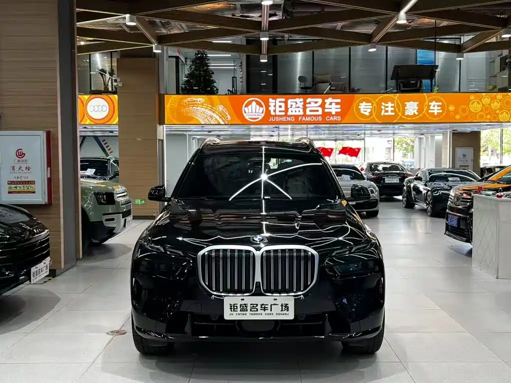 BMW X7 — миниатюра 15