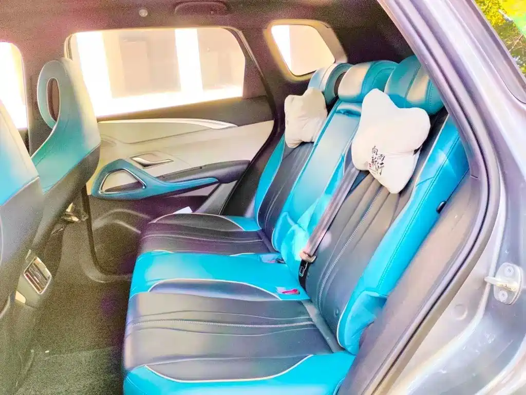 BYD Pro — миниатюра 15