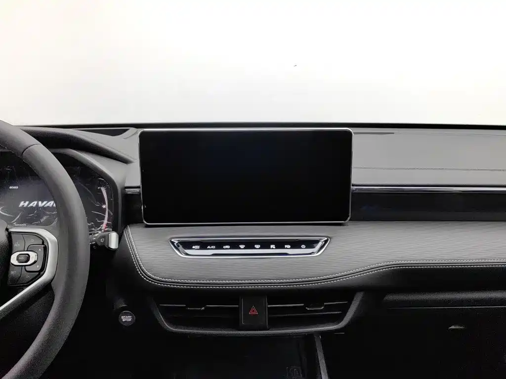 Haval Chulian — миниатюра 12
