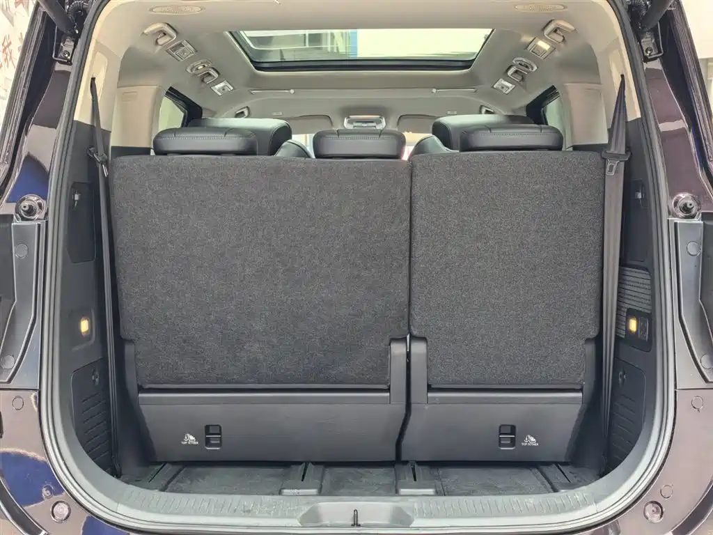 Hongqi HONGQI HQ9 PHEV