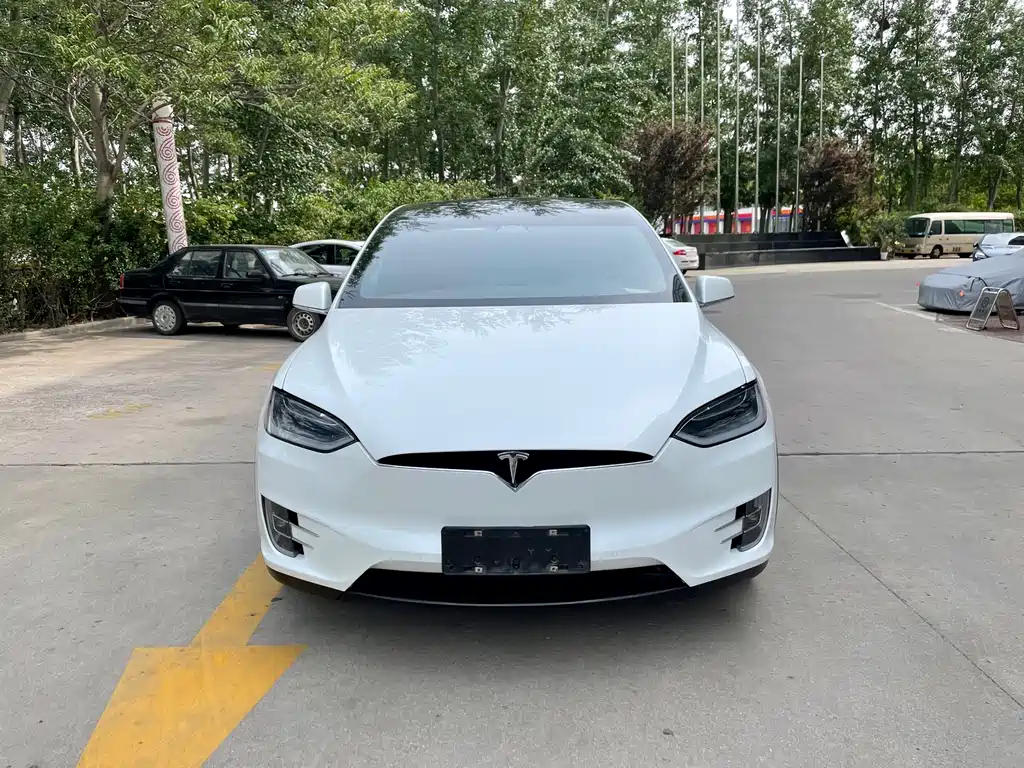 Tesla Model X 2019