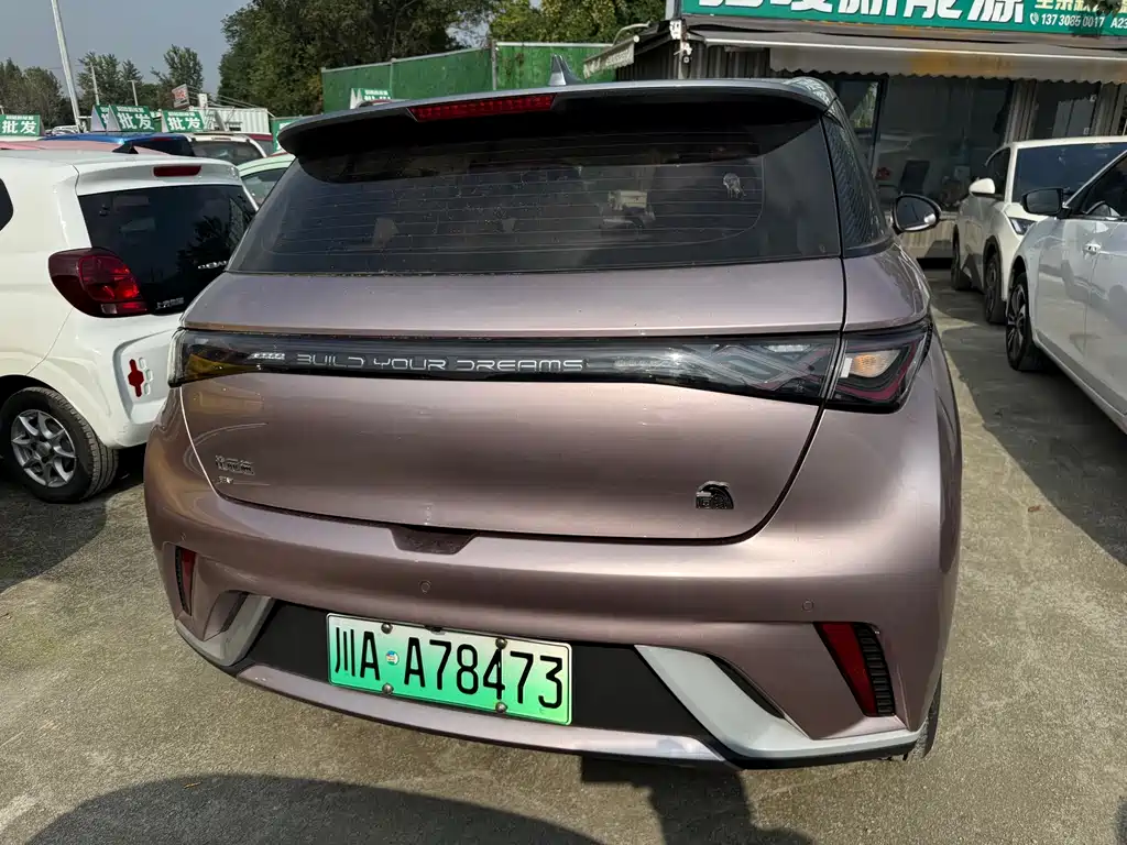 BYD Dolphin — миниатюра 8