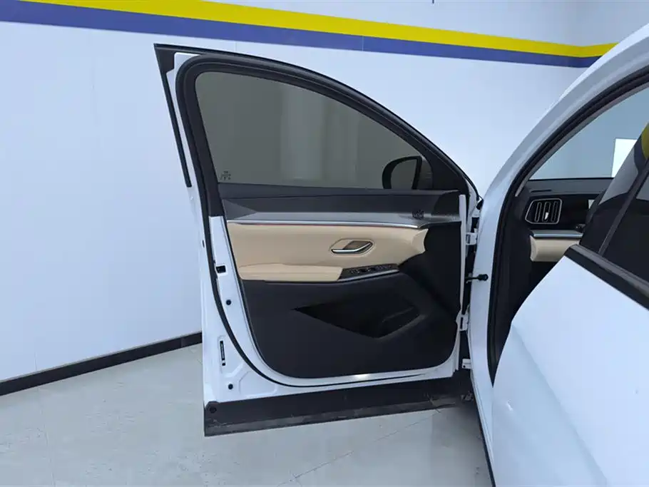 BYD SONGJIANG NEW ENERGY