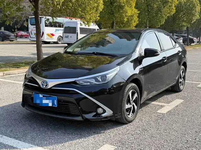 TOYOTA LEI LING 2019